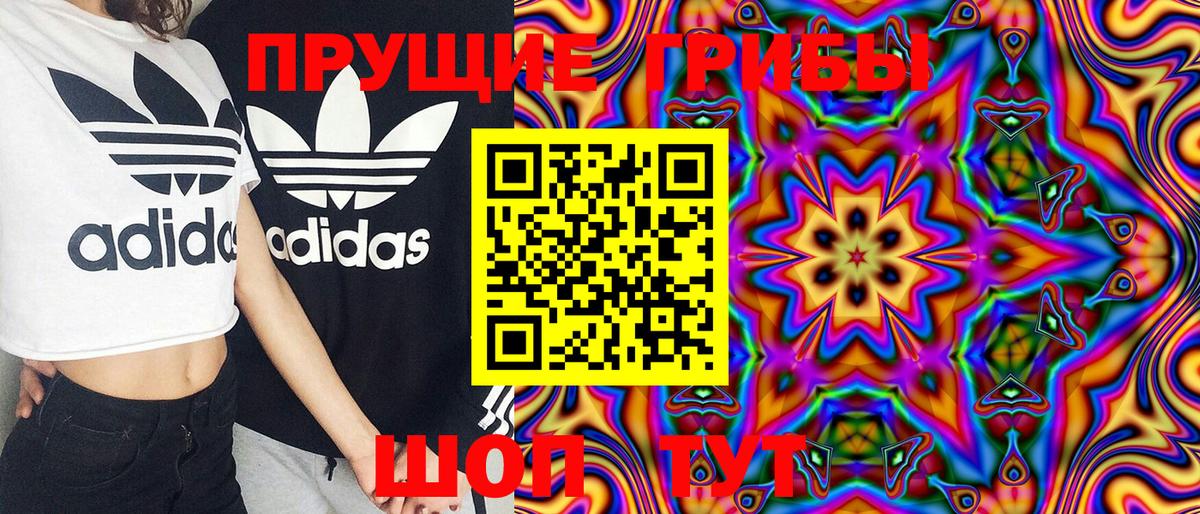 Галлюциногенные грибы Psilocybine cubensis Кудрово