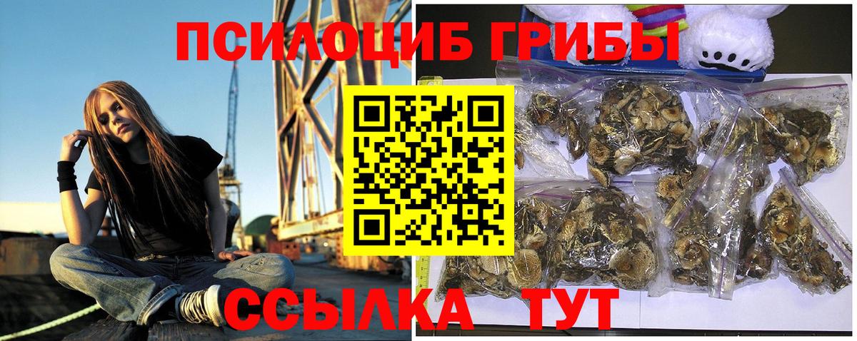 Галлюциногенные грибы GOLDEN TEACHER  где найти наркотики  Вход с VPN  Кудрово  Галлюциногенные грибы Magic Shrooms 