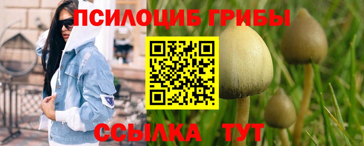 МАРИХУАНА  А ПВП СК   Кудрово  Экстази  ГАШИШ  Вход с VPN  Мефедрон   ГАШ 